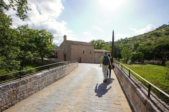 Bosco di San Francesco